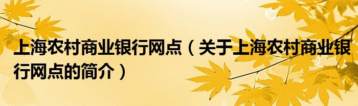 上海农村商业银行网点（关于上海农村商业银行网点的简介）