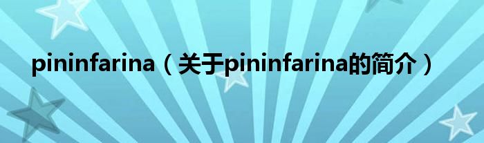 pininfarina（关于pininfarina的简介）