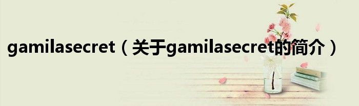 gamilasecret（关于gamilasecret的简介）