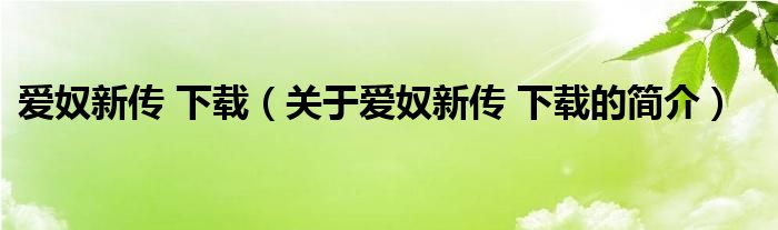 爱奴新传 下载（关于爱奴新传 下载的简介）