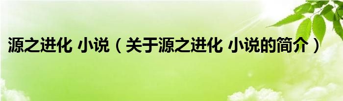 源之进化 小说（关于源之进化 小说的简介）