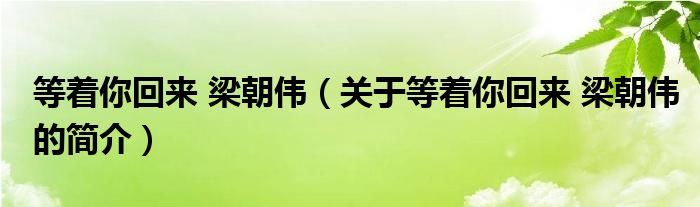 等着你回来 梁朝伟（关于等着你回来 梁朝伟的简介）