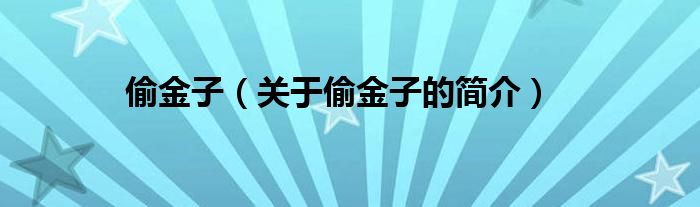 偷金子（关于偷金子的简介）