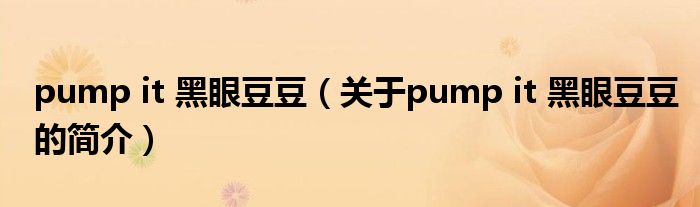 pump it 黑眼豆豆（关于pump it 黑眼豆豆的简介）