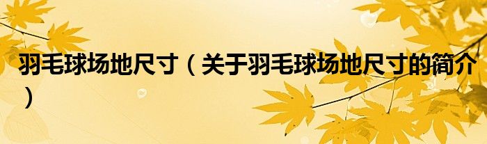 羽毛球场地尺寸（关于羽毛球场地尺寸的简介）