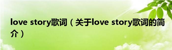 love story歌词（关于love story歌词的简介）
