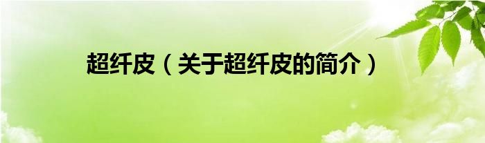 超纤皮（关于超纤皮的简介）