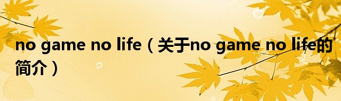 no game no life（关于no game no life的简介）