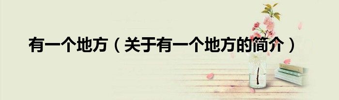 有一个地方（关于有一个地方的简介）