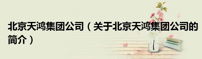 北京天鸿集团公司（关于北京天鸿集团公司的简介）