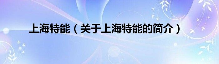 上海特能（关于上海特能的简介）