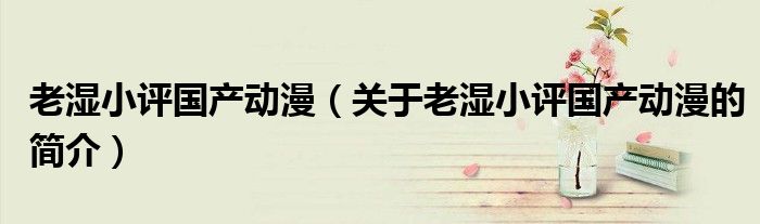 老湿小评国产动漫（关于老湿小评国产动漫的简介）