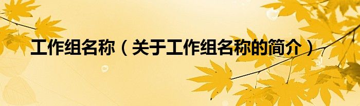 工作组名称（关于工作组名称的简介）