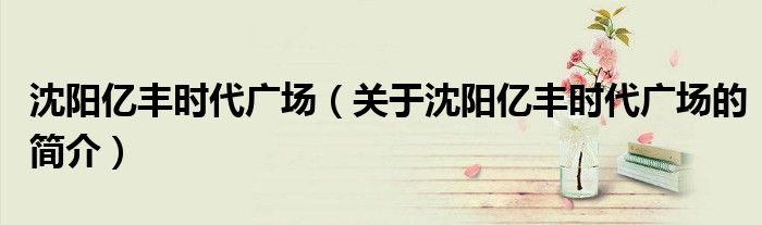 沈阳亿丰时代广场（关于沈阳亿丰时代广场的简介）