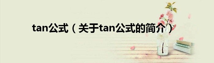 tan公式（关于tan公式的简介）