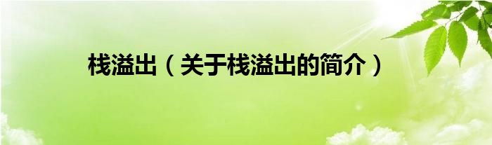 栈溢出（关于栈溢出的简介）