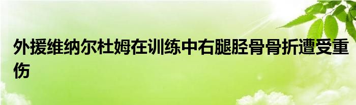 外援维纳尔杜姆在训练中右腿胫骨骨折遭受重伤