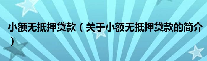 小额无抵押贷款（关于小额无抵押贷款的简介）