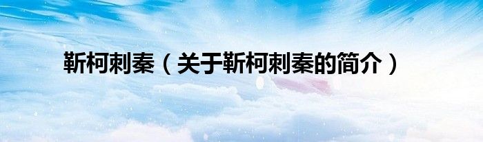 靳柯刺秦（关于靳柯刺秦的简介）
