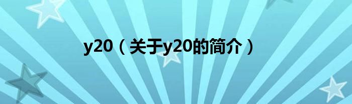 y20（关于y20的简介）