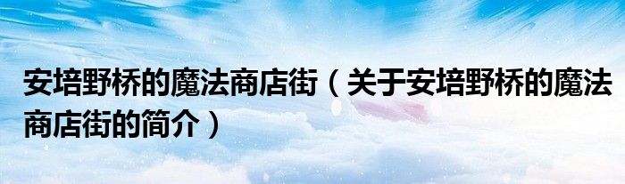 安培野桥的魔法商店街（关于安培野桥的魔法商店街的简介）