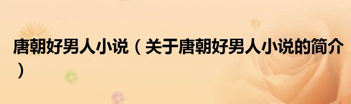 唐朝好男人小说（关于唐朝好男人小说的简介）