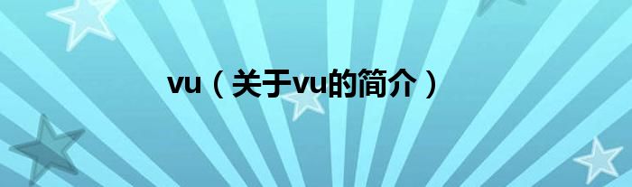 vu（关于vu的简介）
