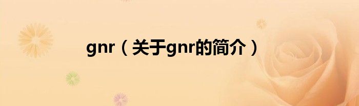 gnr（关于gnr的简介）