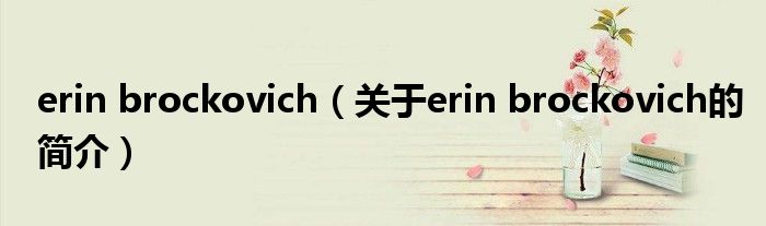 erin brockovich（关于erin brockovich的简介）