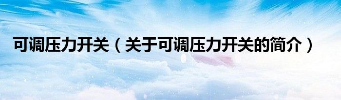可调压力开关（关于可调压力开关的简介）