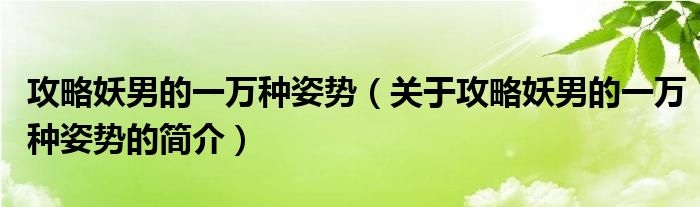 攻略妖男的一万种姿势（关于攻略妖男的一万种姿势的简介）