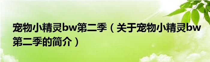 宠物小精灵bw第二季（关于宠物小精灵bw第二季的简介）