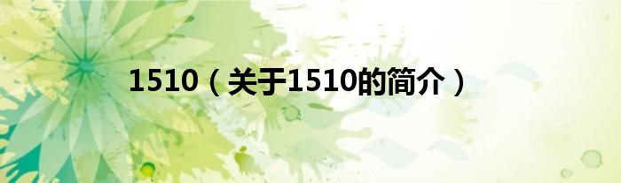 1510（关于1510的简介）