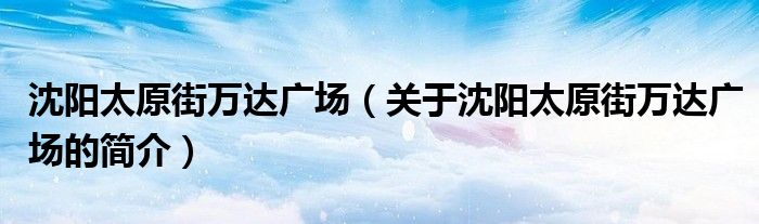 沈阳太原街万达广场（关于沈阳太原街万达广场的简介）