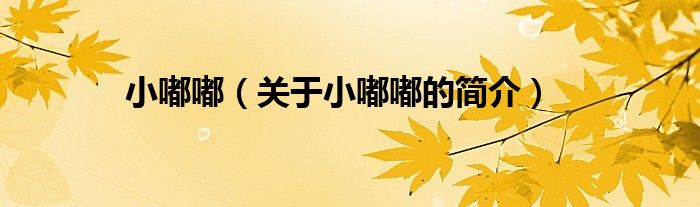 小嘟嘟（关于小嘟嘟的简介）