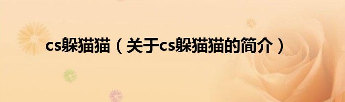 cs躲猫猫（关于cs躲猫猫的简介）
