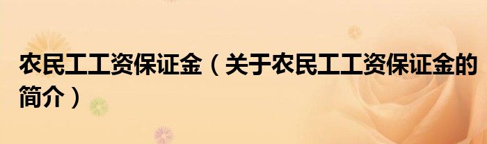 农民工工资保证金（关于农民工工资保证金的简介）