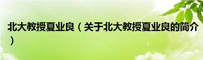 北大教授夏业良（关于北大教授夏业良的简介）