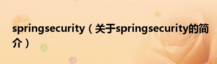 springsecurity（关于springsecurity的简介）