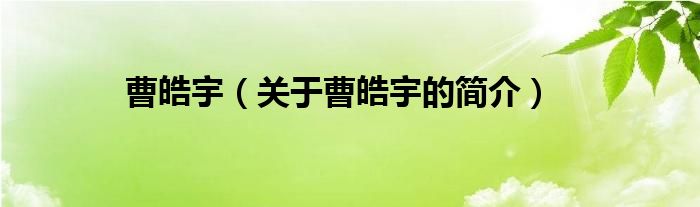 曹皓宇（关于曹皓宇的简介）