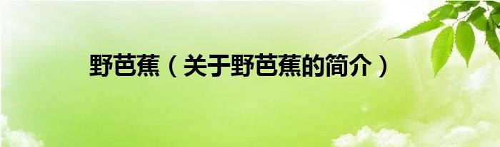 野芭蕉（关于野芭蕉的简介）