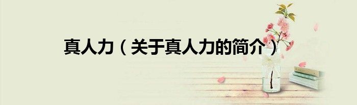 真人力（关于真人力的简介）