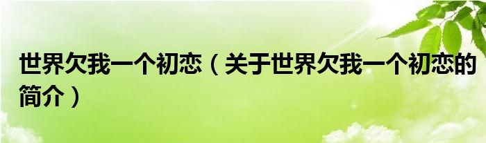 世界欠我一个初恋（关于世界欠我一个初恋的简介）