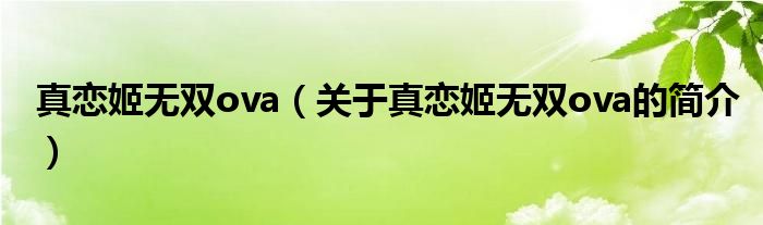 真恋姬无双ova（关于真恋姬无双ova的简介）
