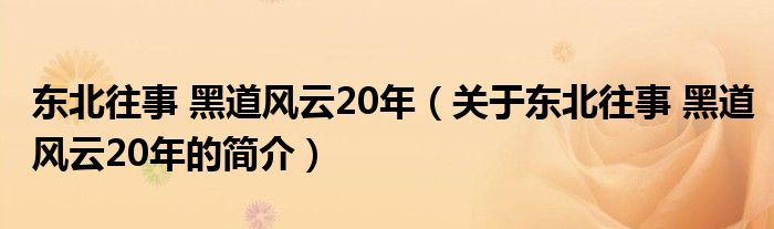 东北往事 黑道风云20年（关于东北往事 黑道风云20年的简介）