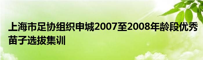 上海市足协组织申城2007至2008年龄段优秀苗子选拔集训