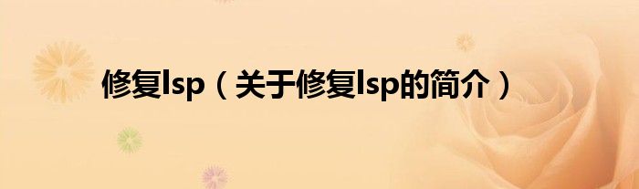 修复lsp（关于修复lsp的简介）