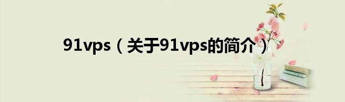 91vps（关于91vps的简介）