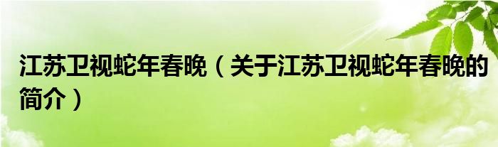 江苏卫视蛇年春晚（关于江苏卫视蛇年春晚的简介）