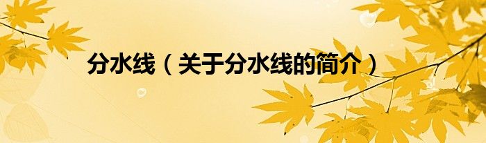 分水线（关于分水线的简介）
